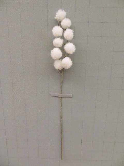 Pompon en branche