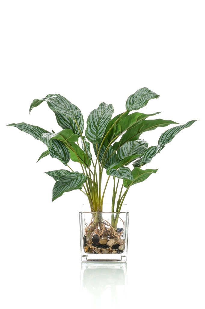 Aglaonema artificiel