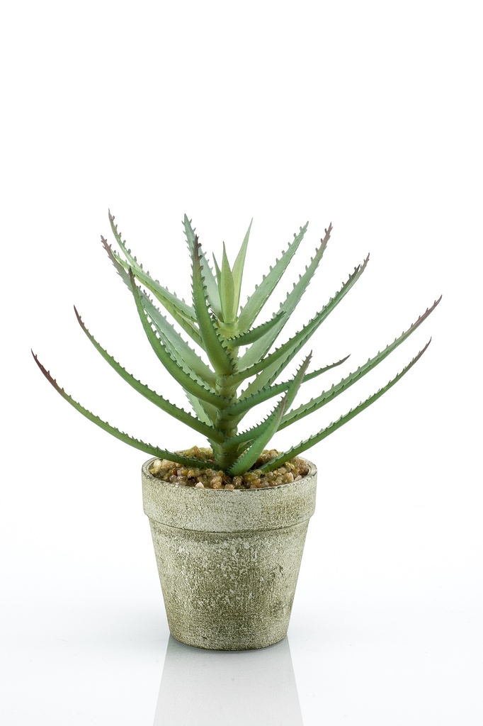 Aloe artificielle