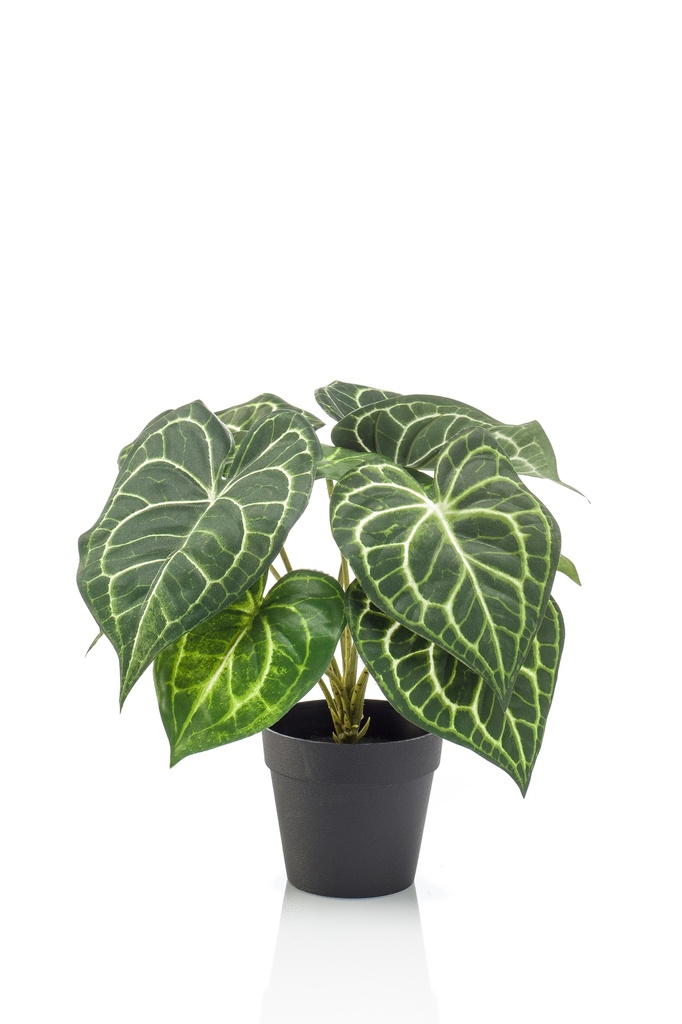 Anthurium artificiel