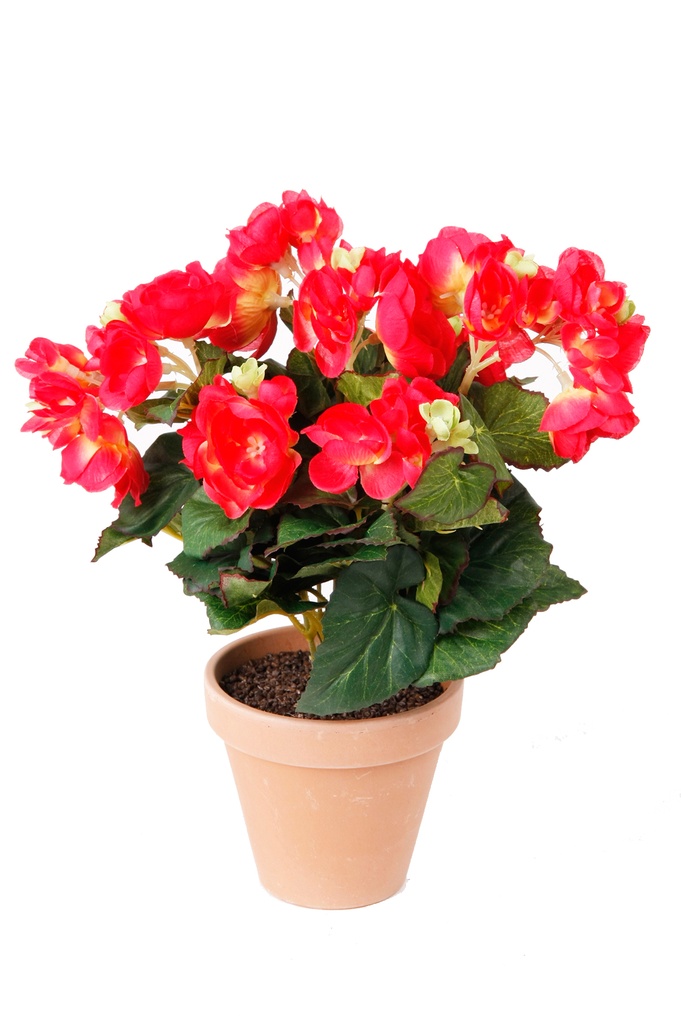 Bégonia en pot terre cuite artificiel