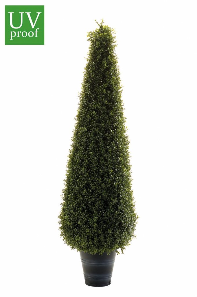 Buis pyramide résistant UV artificiel