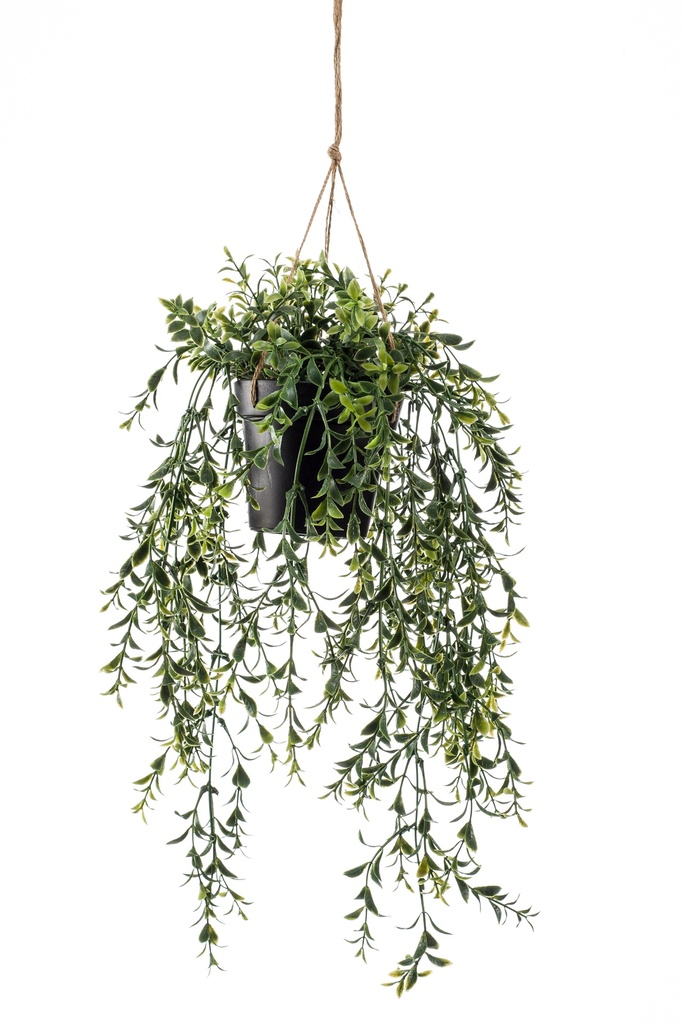 Buis retombant en pot artificiel