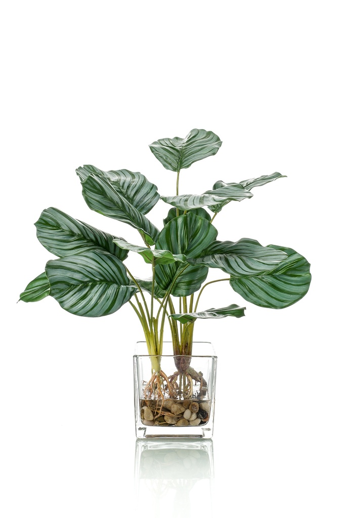 Calathea artificiel