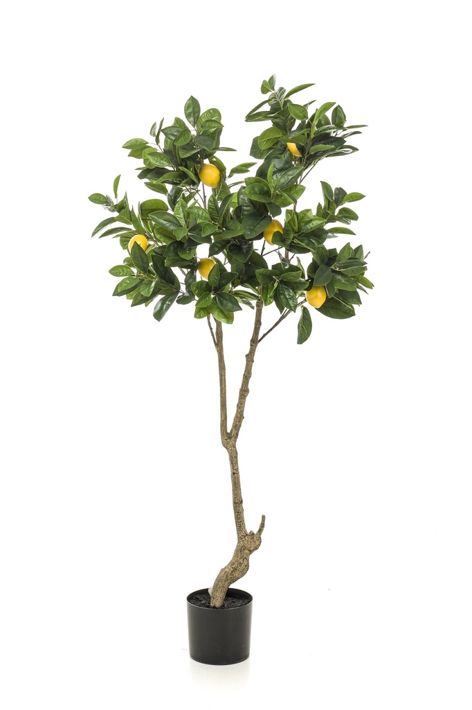Citronnier artificiel
