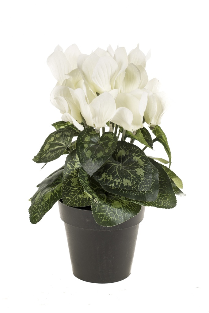 Cyclamen artificiel