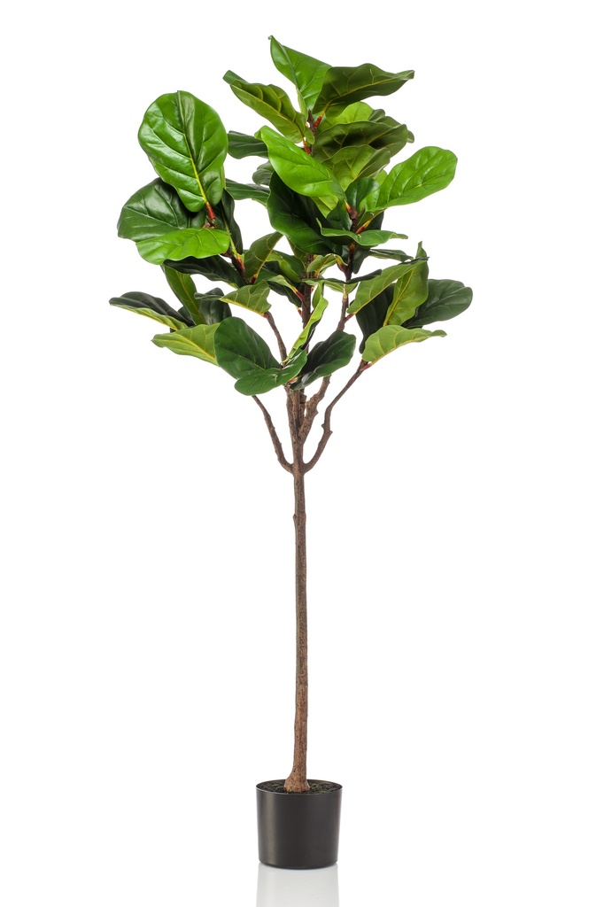 Ficus lyrata umbrella artificiel
