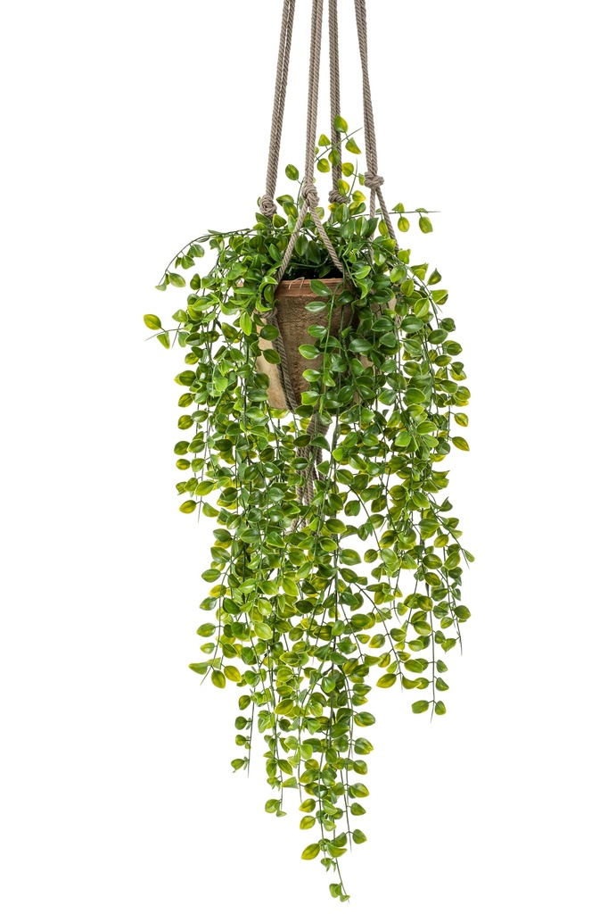 Ficus pumila à suspendre artificiel