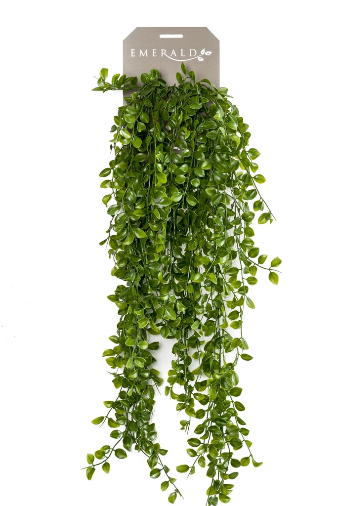 Ficus pumila retombant artificiel