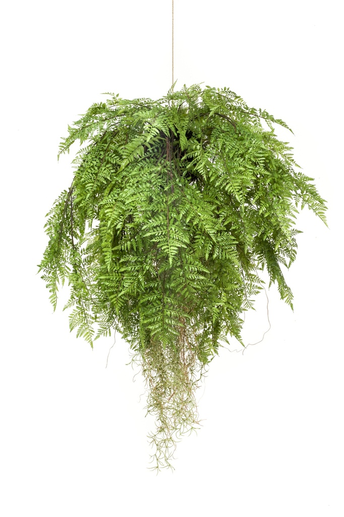 Fougère à suspendre avec racines artificielle