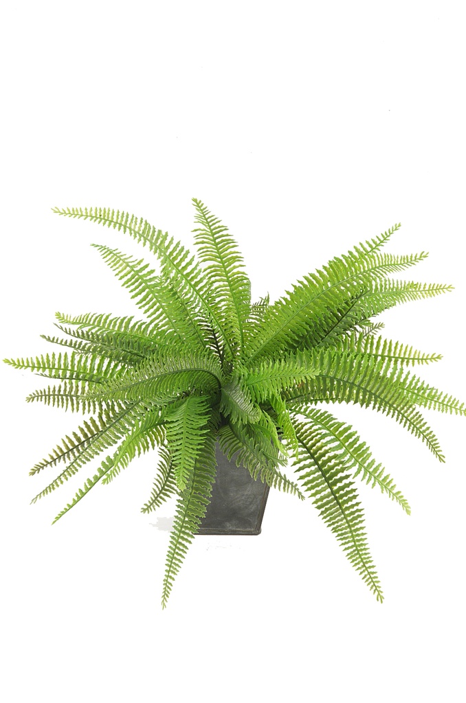Fougère artificielle