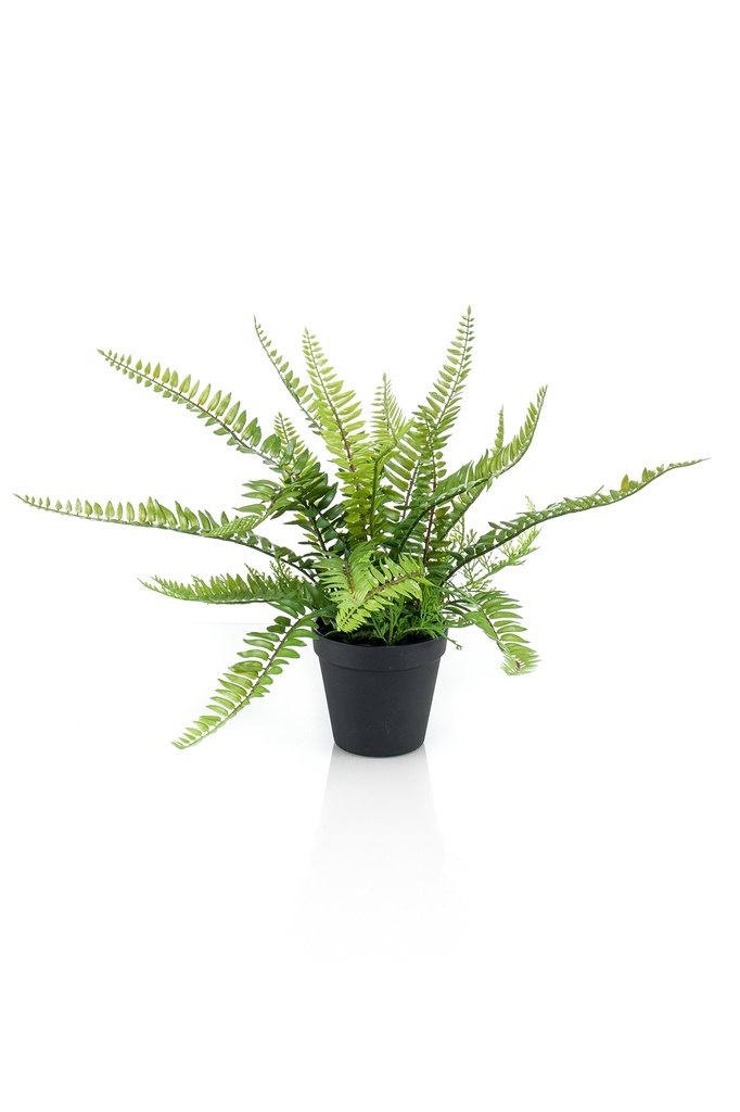 Fougère artificielle