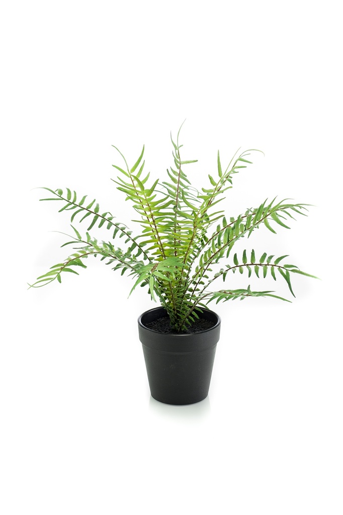 Fougère Blechnum artificielle