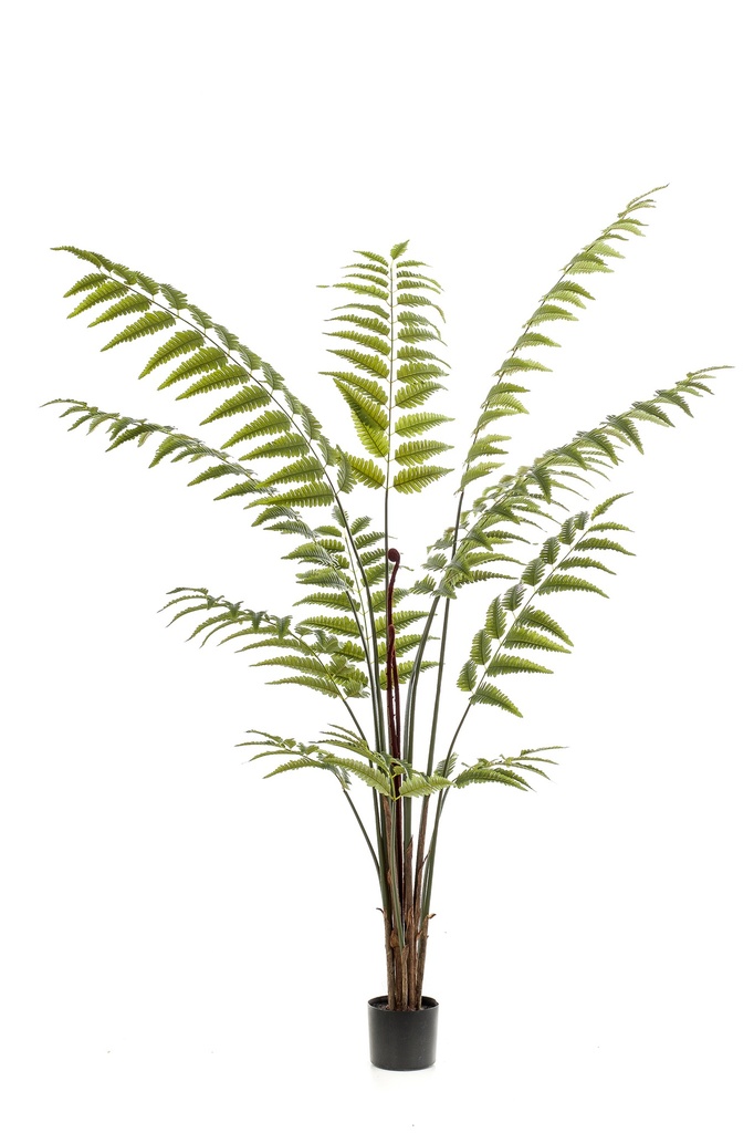 Fougère des bois artificielle