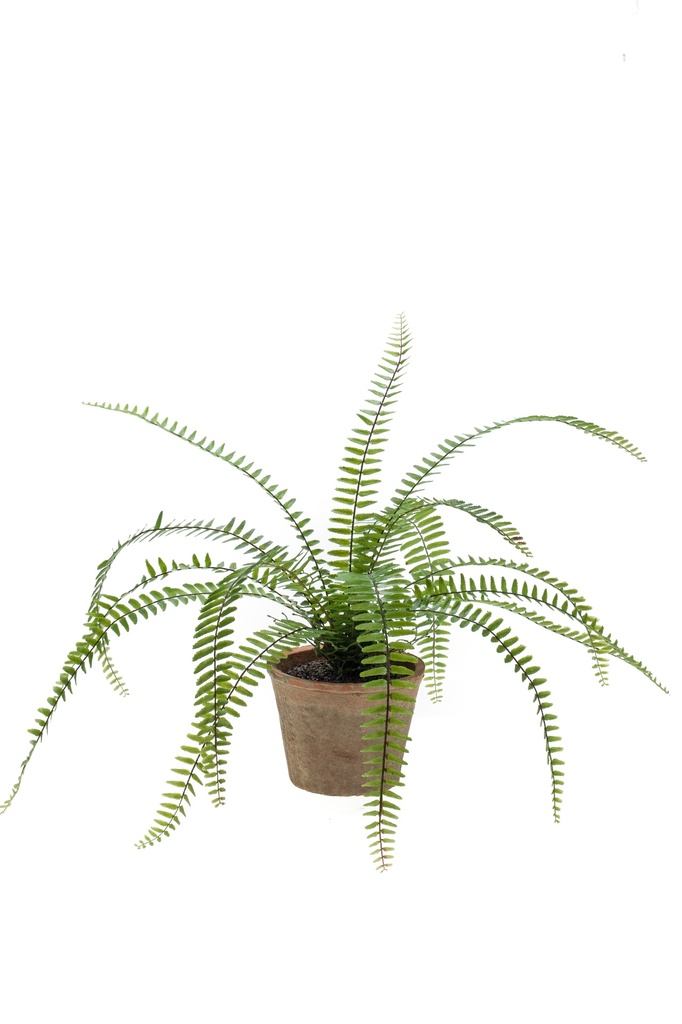Fougère Nephrolepis artificielle