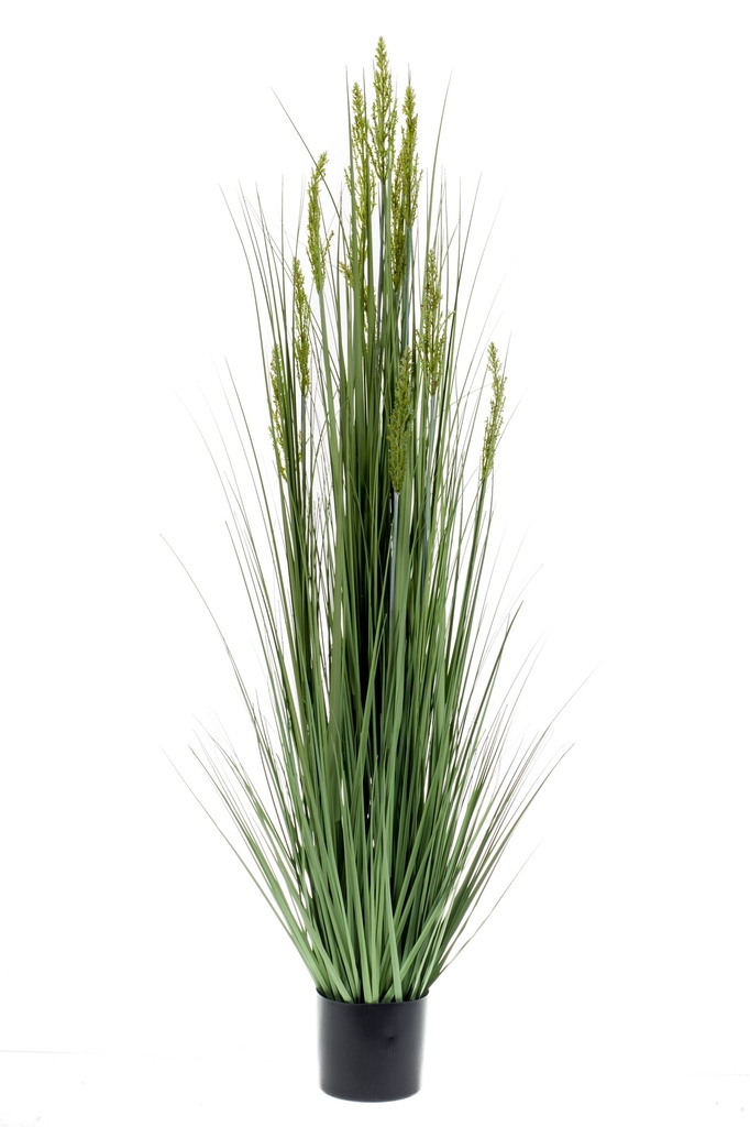Graminée artificielle