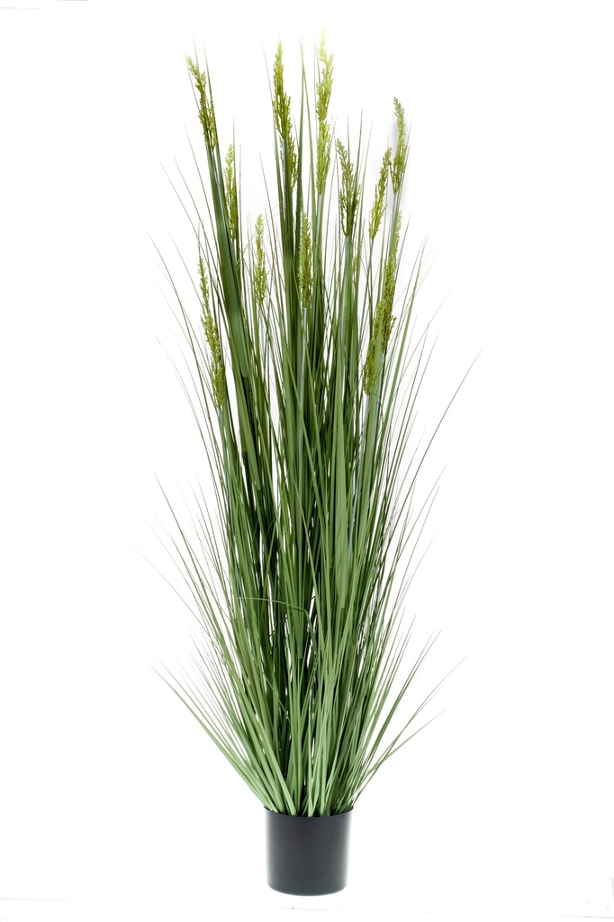 Graminée artificielle