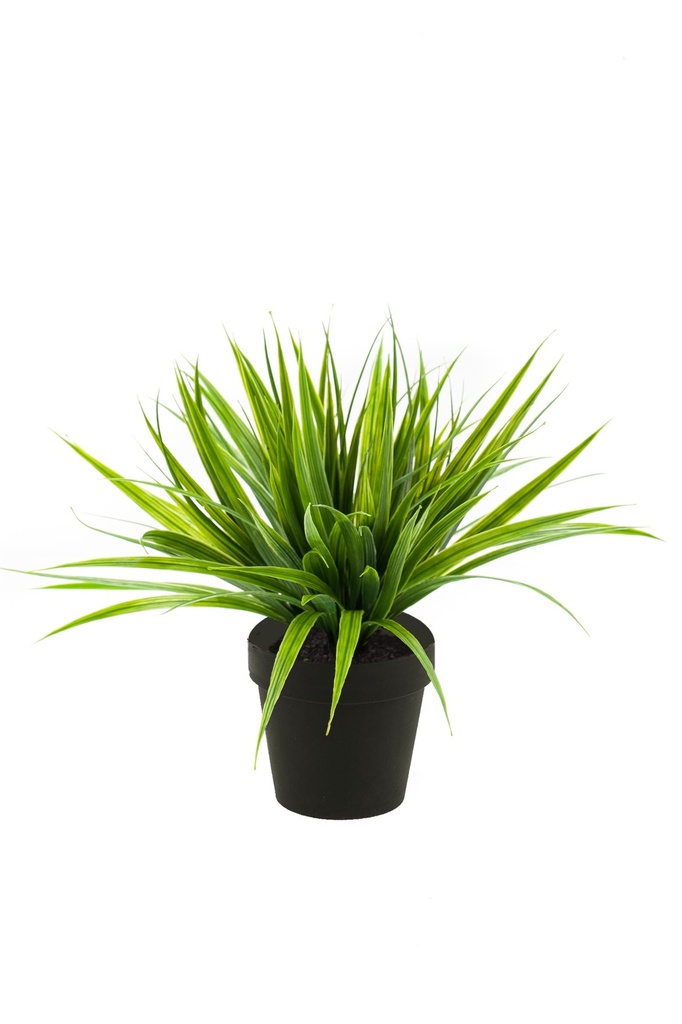 Graminée artificielle