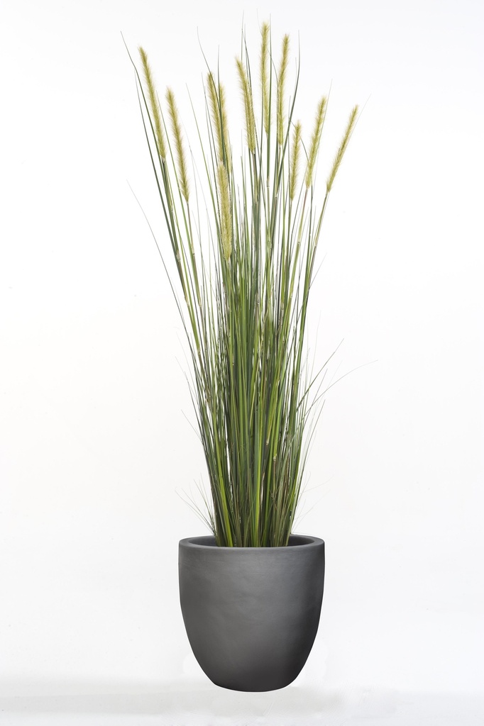 Graminée Foxtail artificielle
