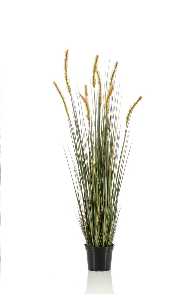 Graminée Foxtail artificielle