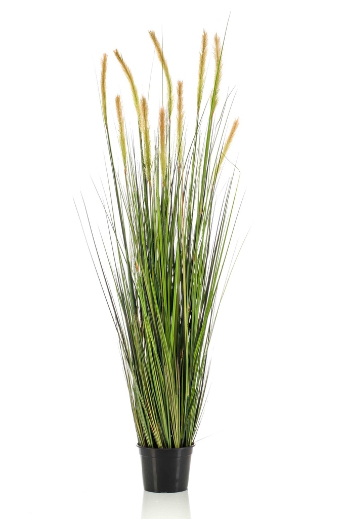 Graminée Foxtail artificielle
