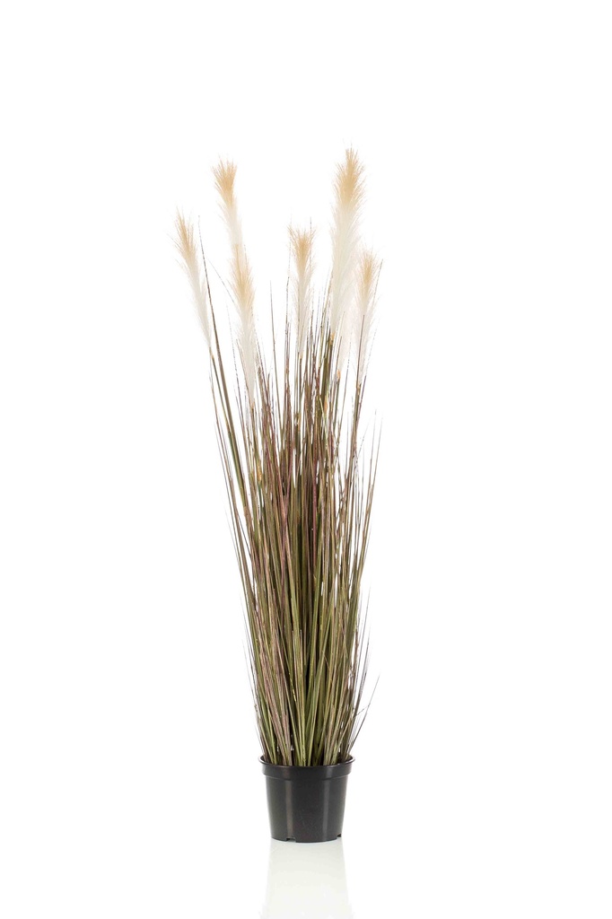 Graminée Pampas artificielle