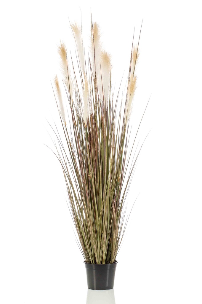 Graminée Pampas artificielle