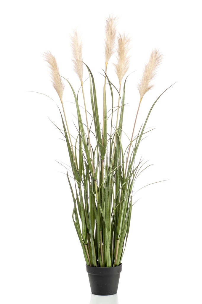 Graminée Pampas artificielle