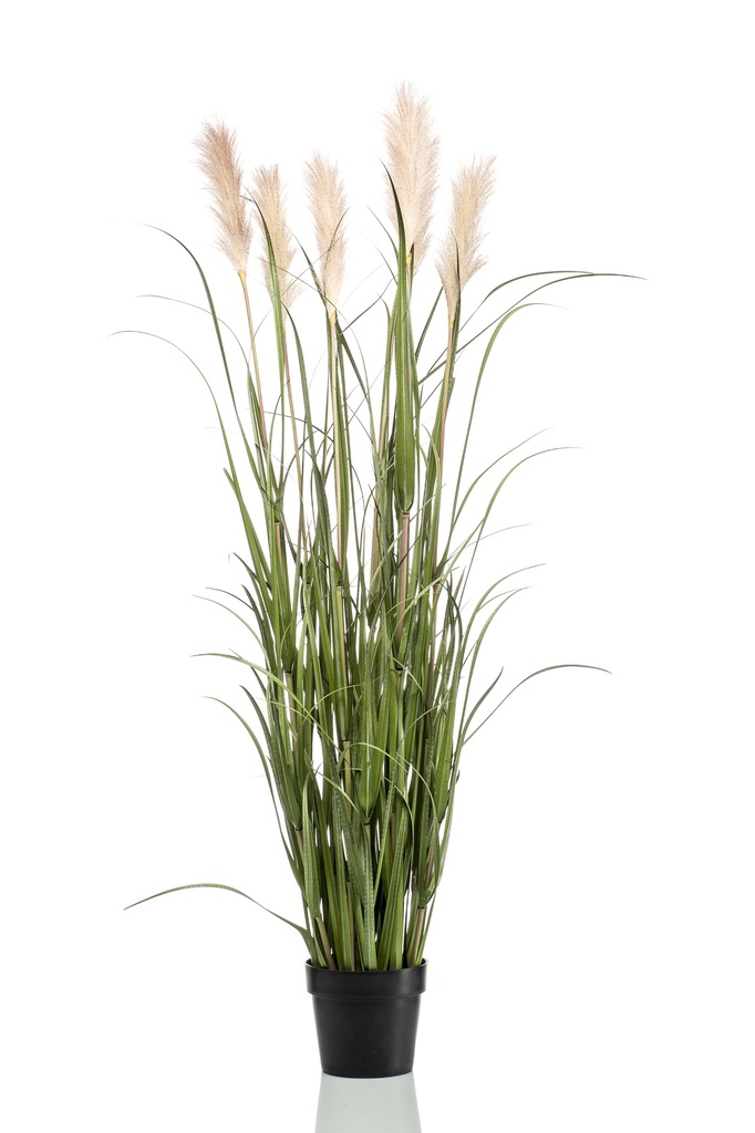 Graminée Pampas artificielle