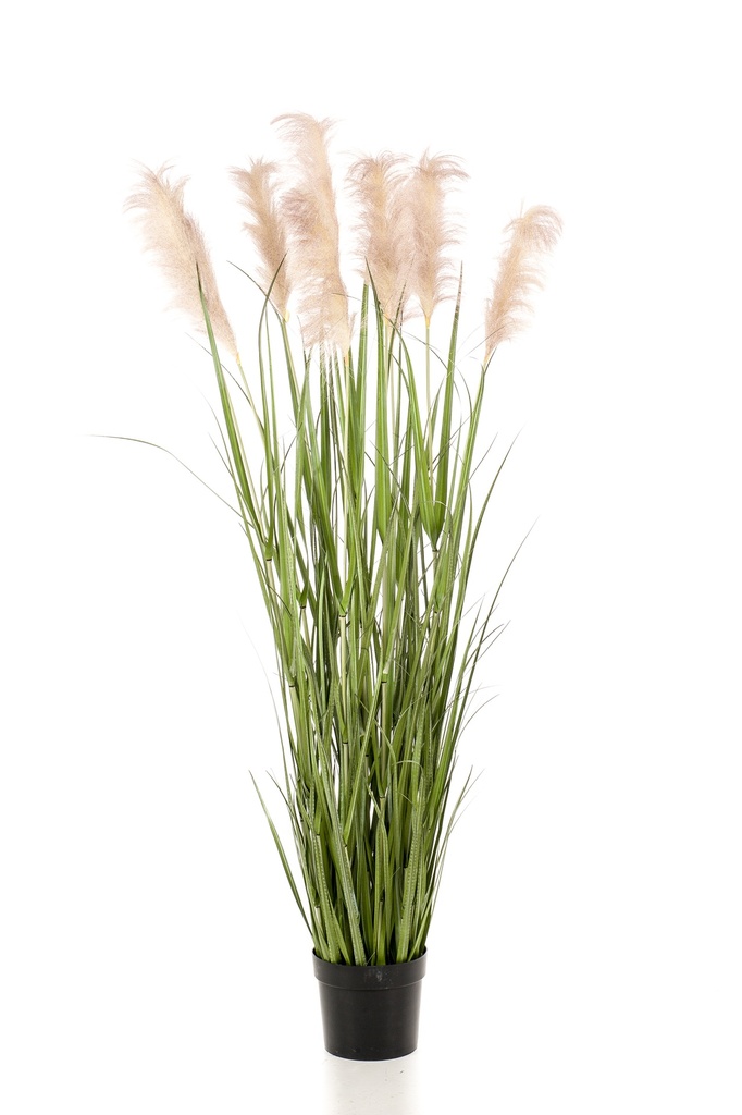 Graminée Pampas artificielle