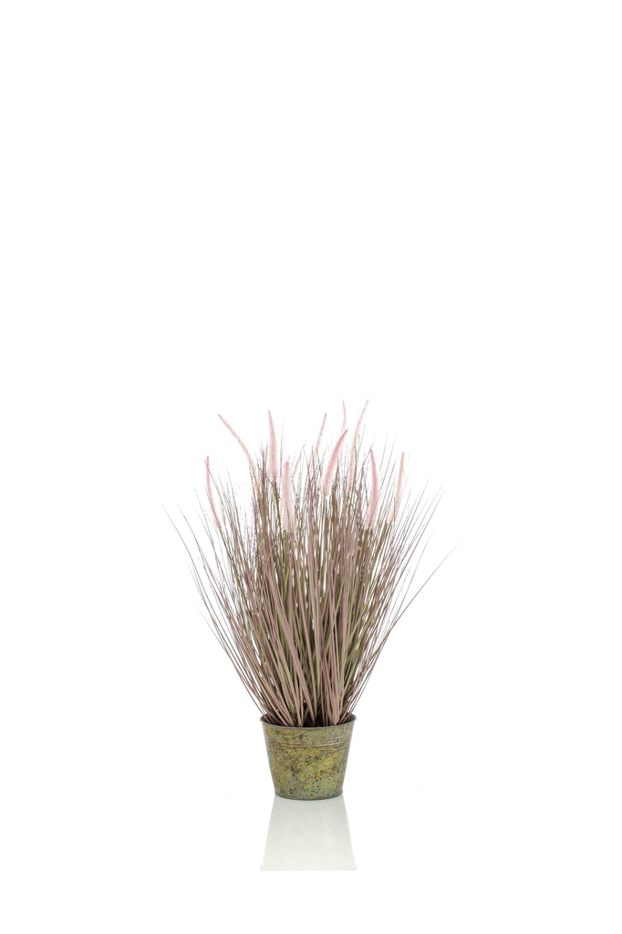 Graminée Pennisetum artificielle