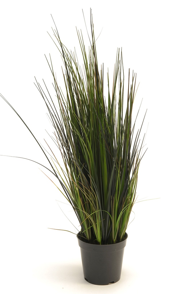 Graminée River artificielle