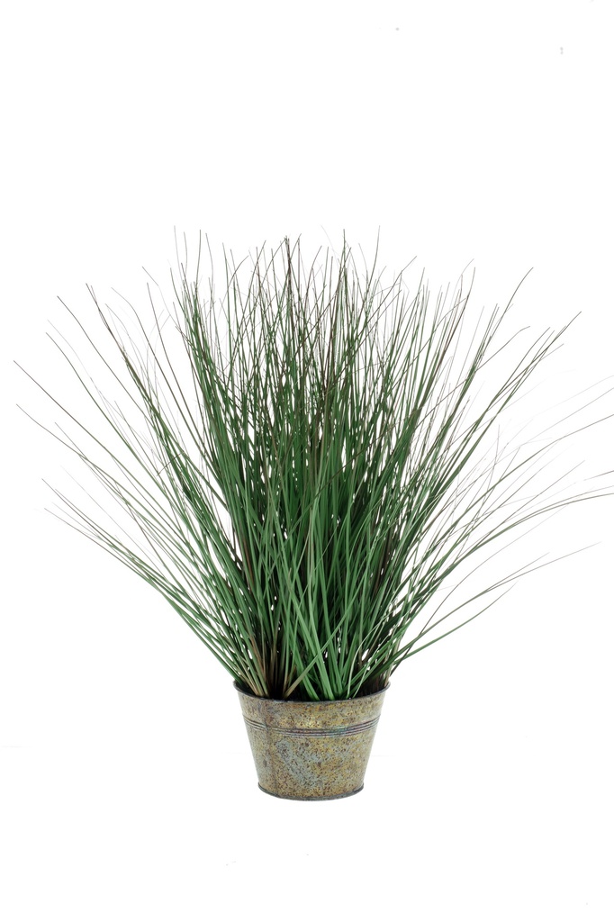 Graminée sauvage artificielle