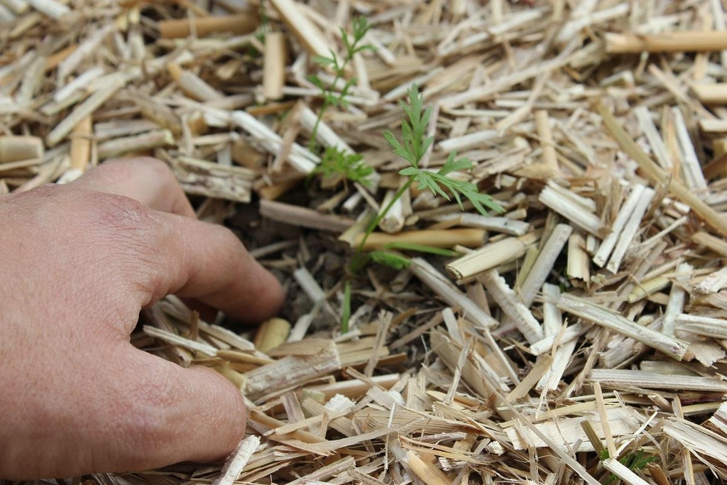 Paillis organique Miscanthus 150L