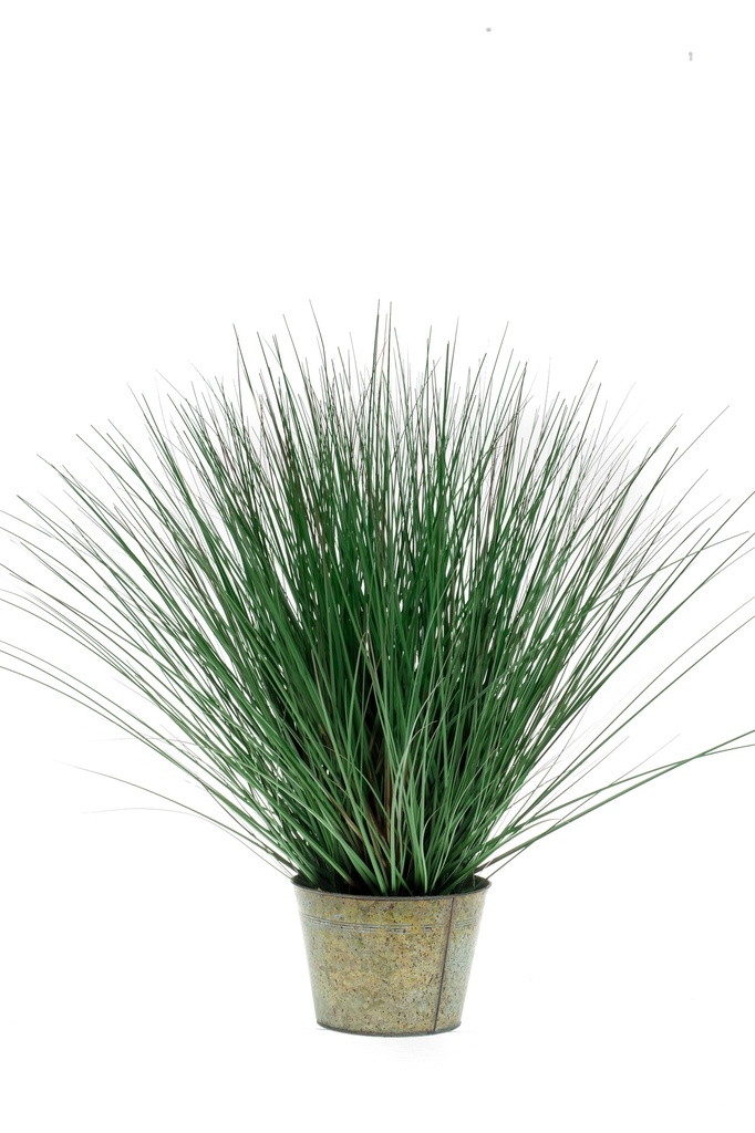 Graminée sauvage artificielle