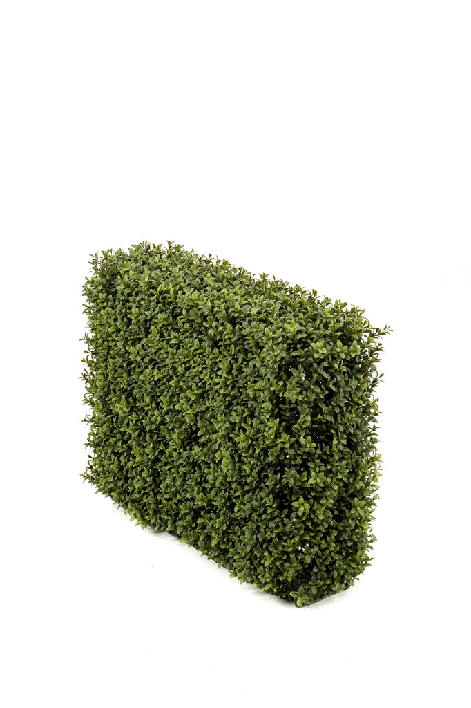 Haie Buis résistant UV artificiel