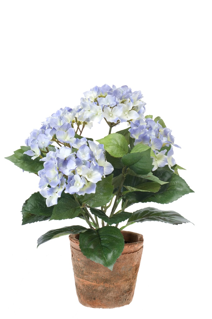 Hortensia artificiel