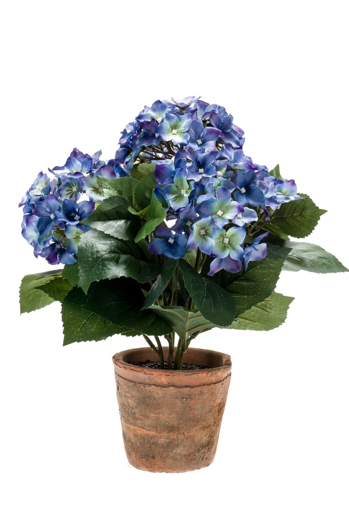 Hortensia artificiel