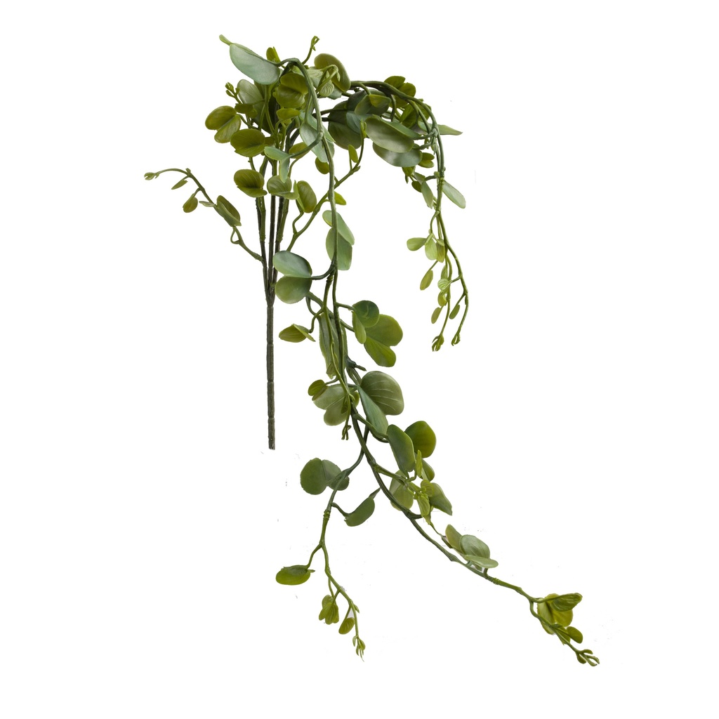 Hoya kerri retombant artificiel