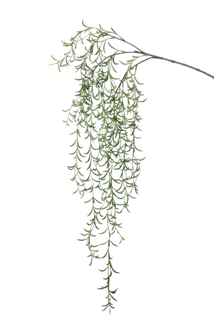 Hoya retombant artificiel