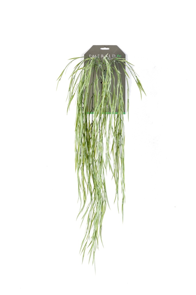 Hoya retombant artificiel