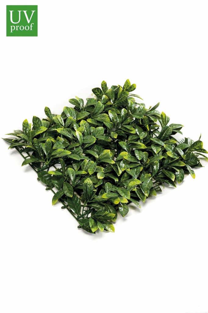 Laurelle en plaque résistant UV artificiel