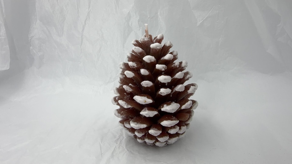 Bougie Pomme de pin
