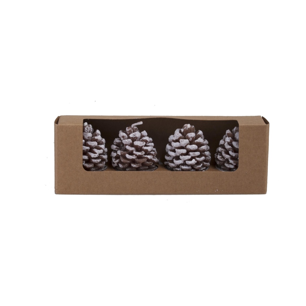 Bougie Pomme de pin en boite 4pcs