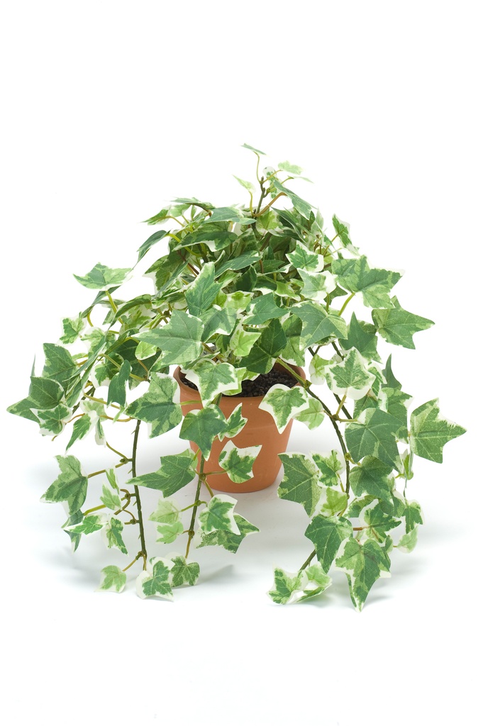 Lierre panaché artificiel