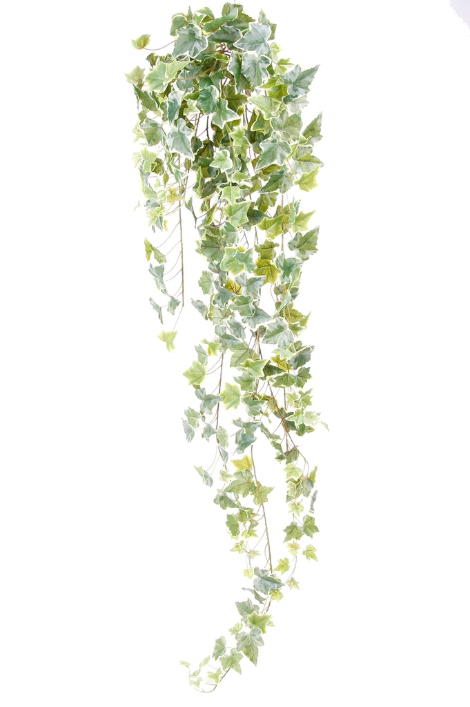 Lierre panaché retombant artificiel