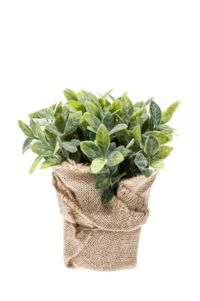 Menthe artificiel