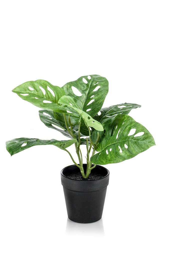 Monstera monkey artificiel