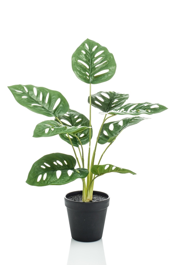 Monstera monkey artificiel
