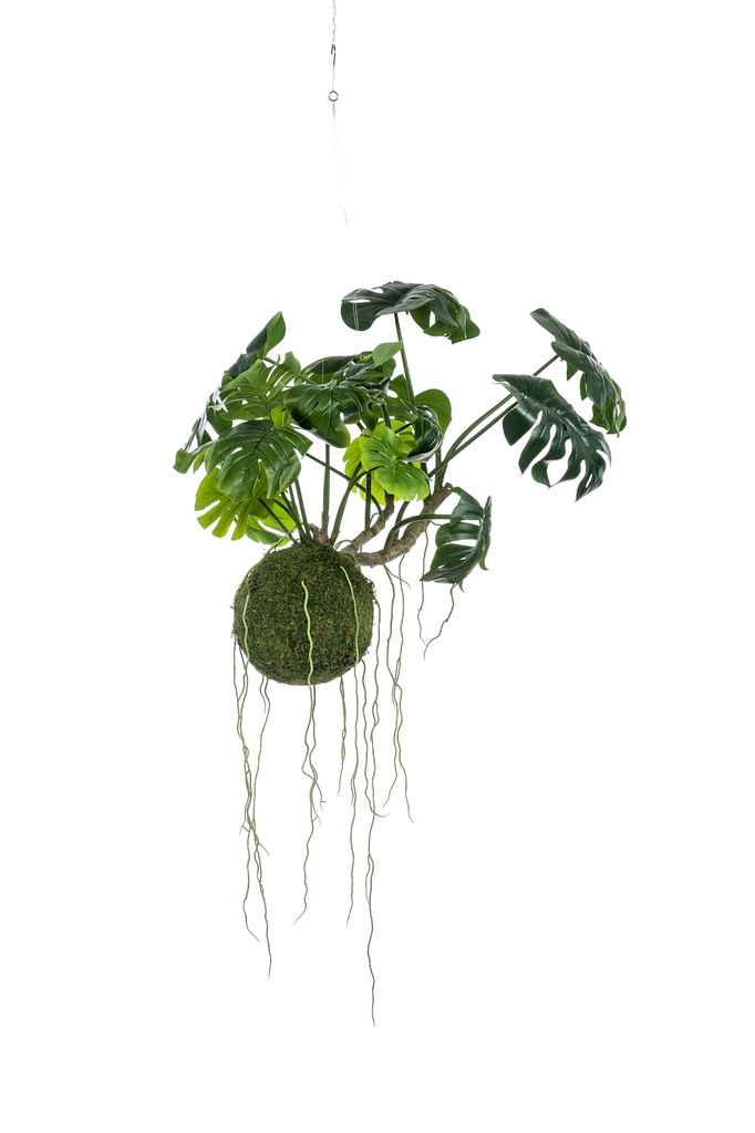 Monstera sur mousse à suspendre artificiel